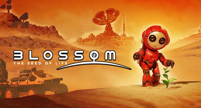 Blossom: The Seed of Life