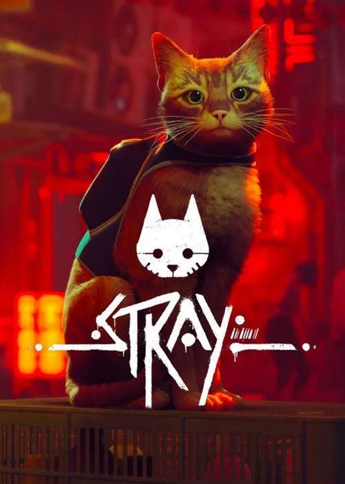 Stray