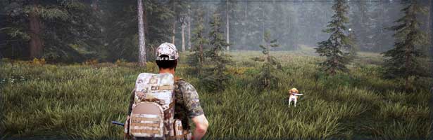 Hunting Simulation 2