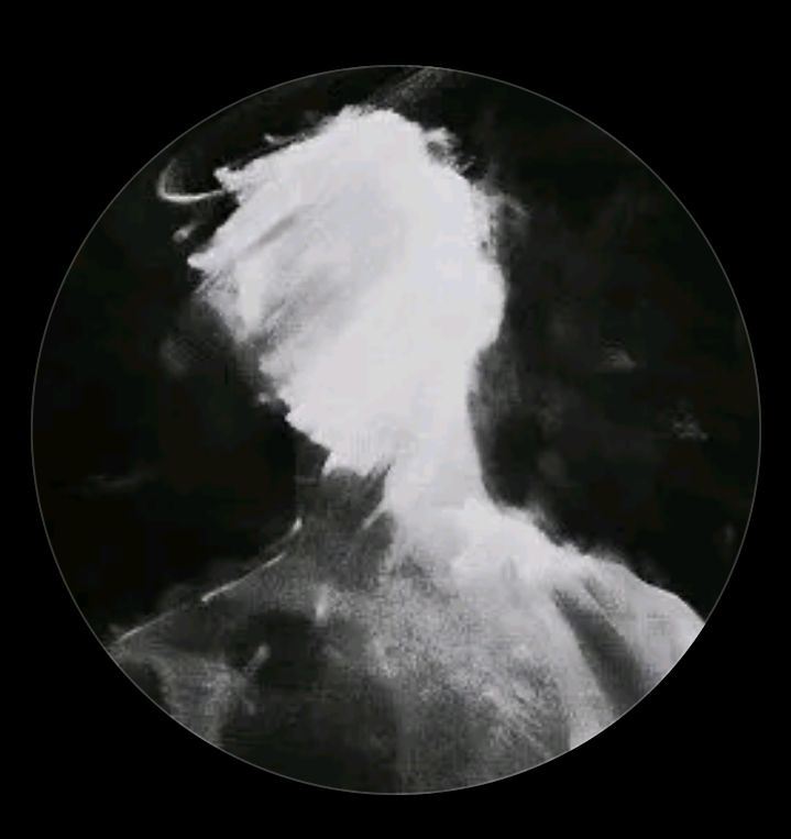 mostafa daemi